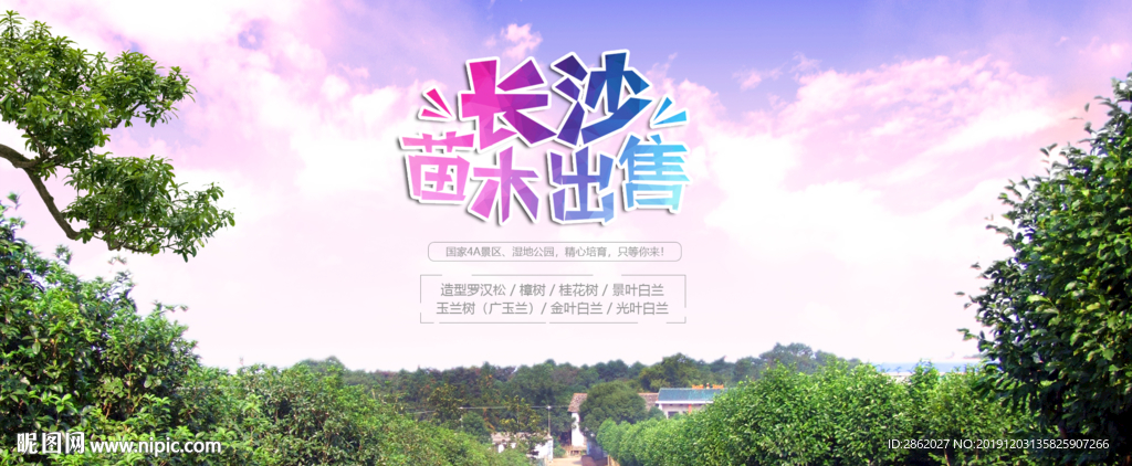 苗木出售 banner图 网页