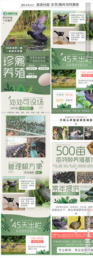 珍禽养殖手机端招商页面