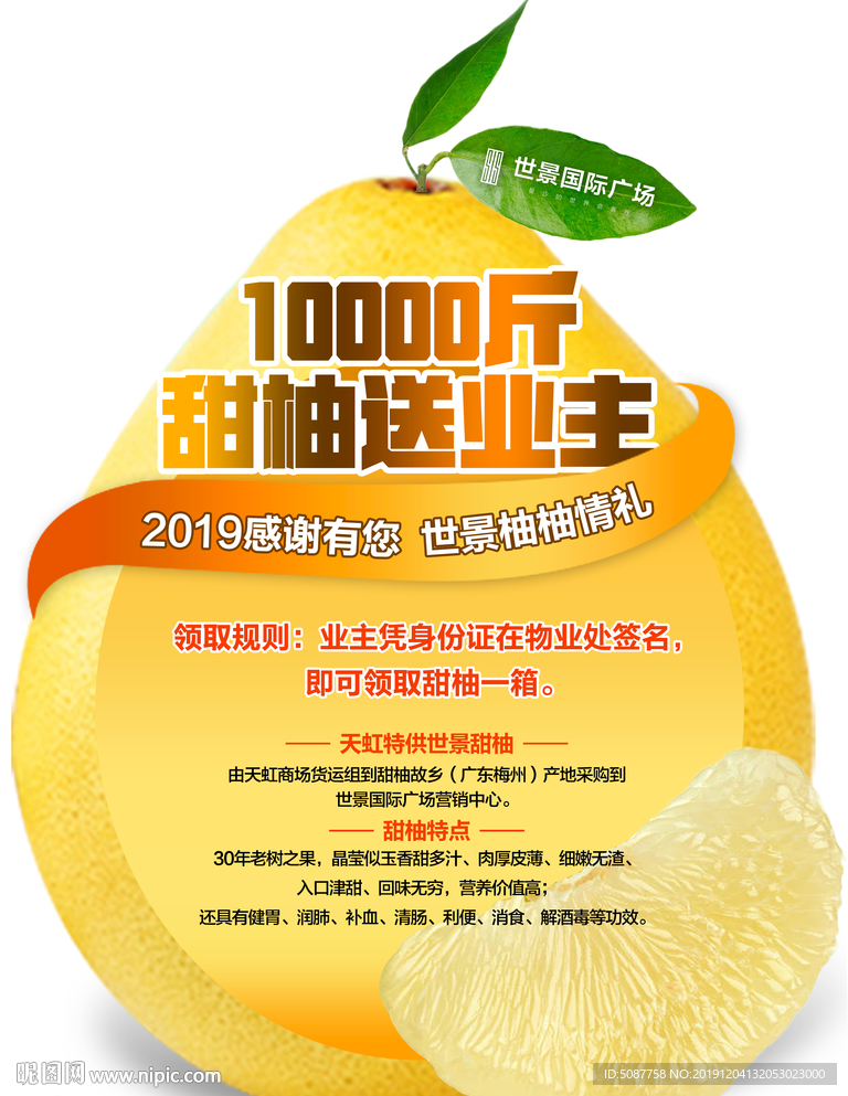 柚子活动