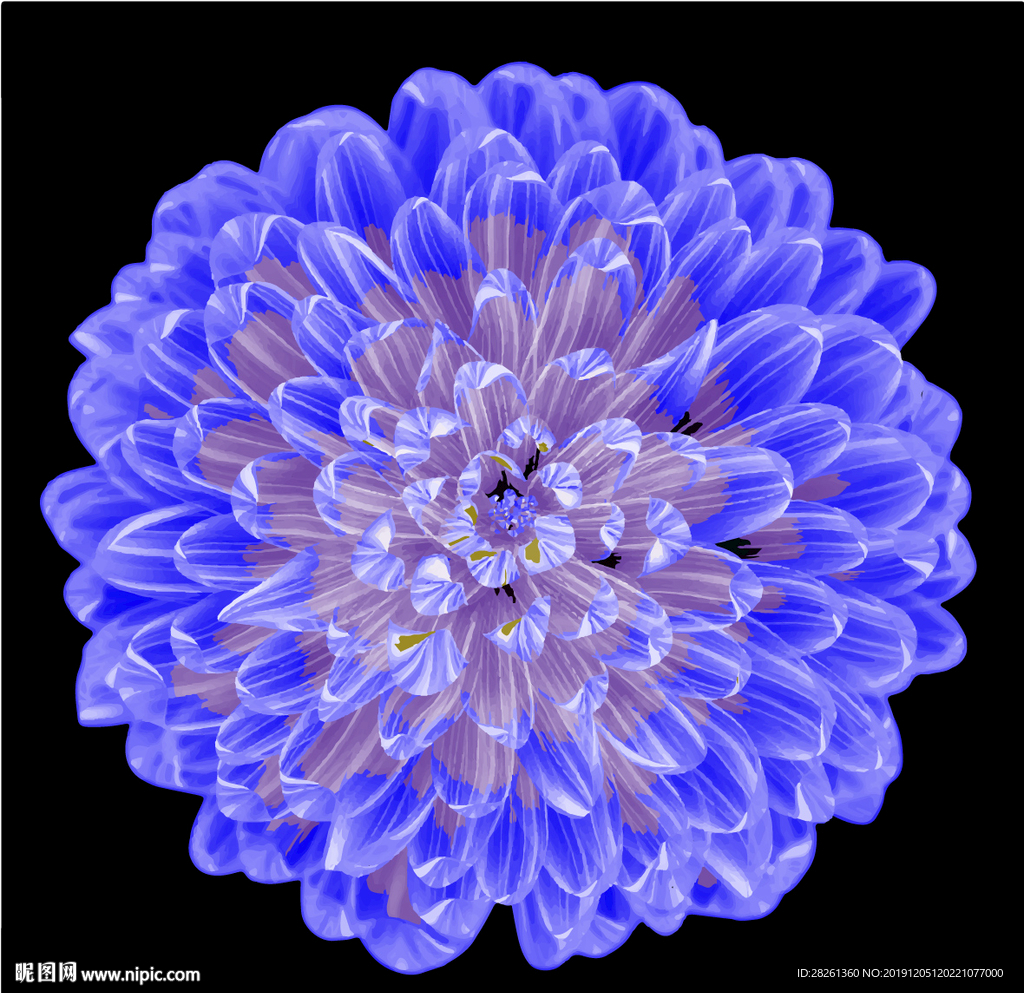 科技之花