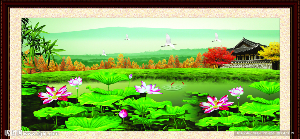 荷花风景