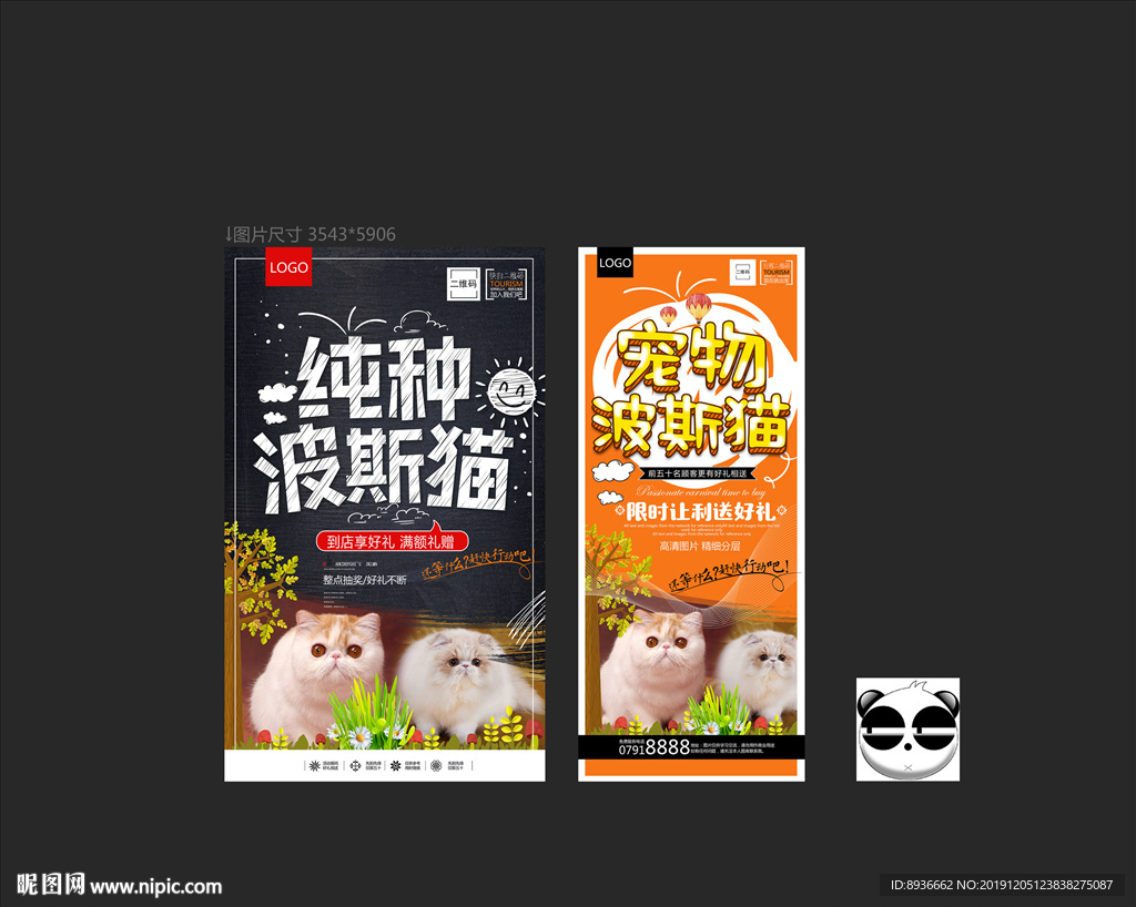 波斯猫