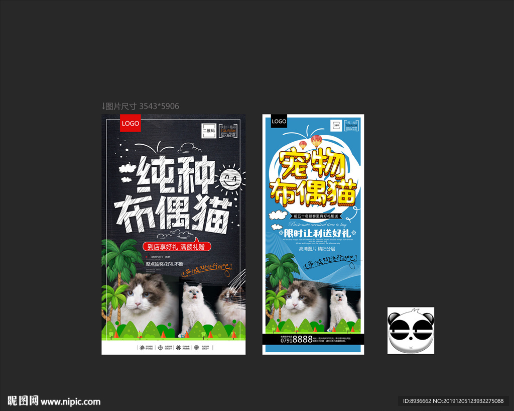 布偶猫