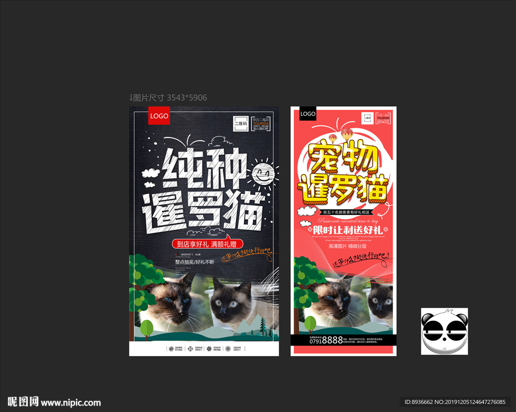 暹罗猫