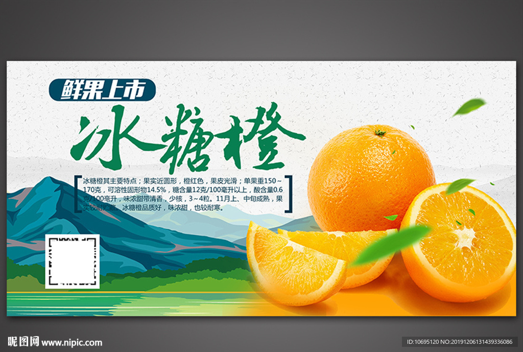 冰糖橙