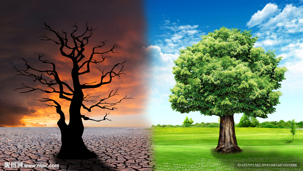 防治荒漠化 保护环境