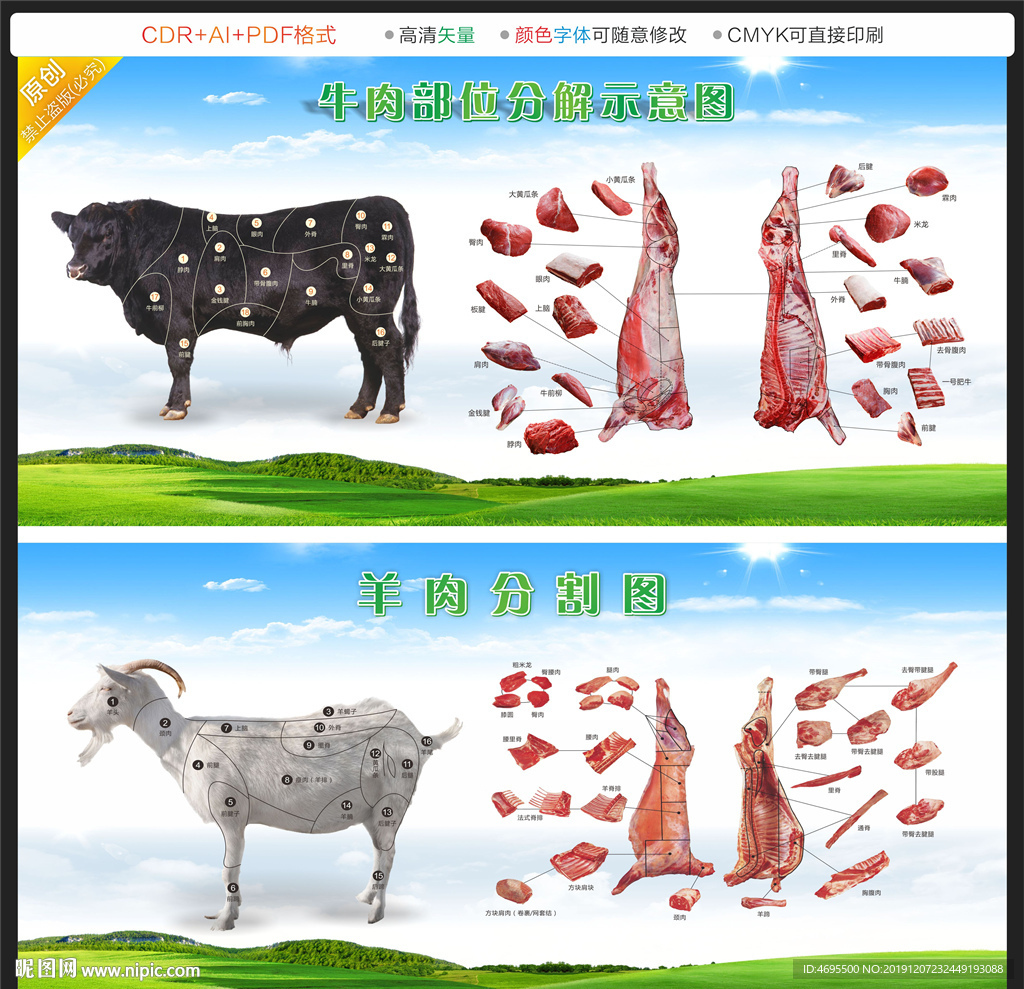 羊肉分割图设计图__广告设计_广告设计_设计图库_昵图网nipic.com