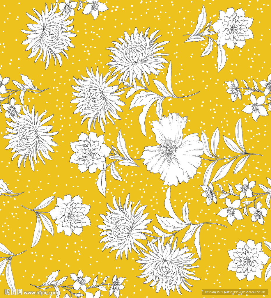 矢量白花 线条小