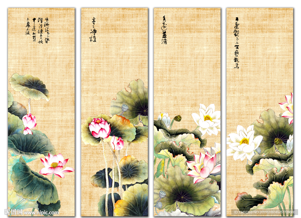 国画荷花