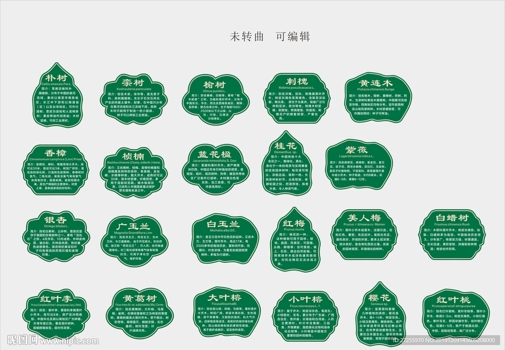 树名牌