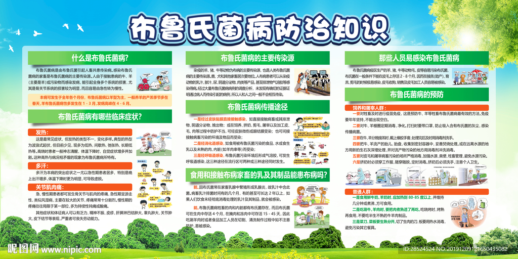 布鲁氏菌病
