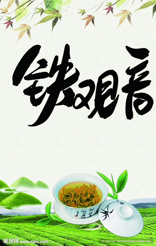 铁观音