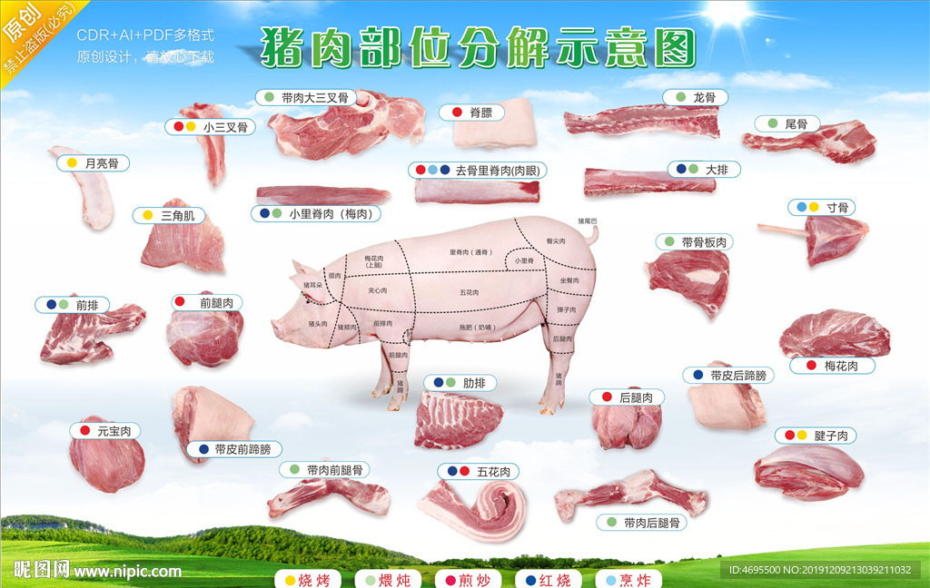 超市猪肉分割分切图