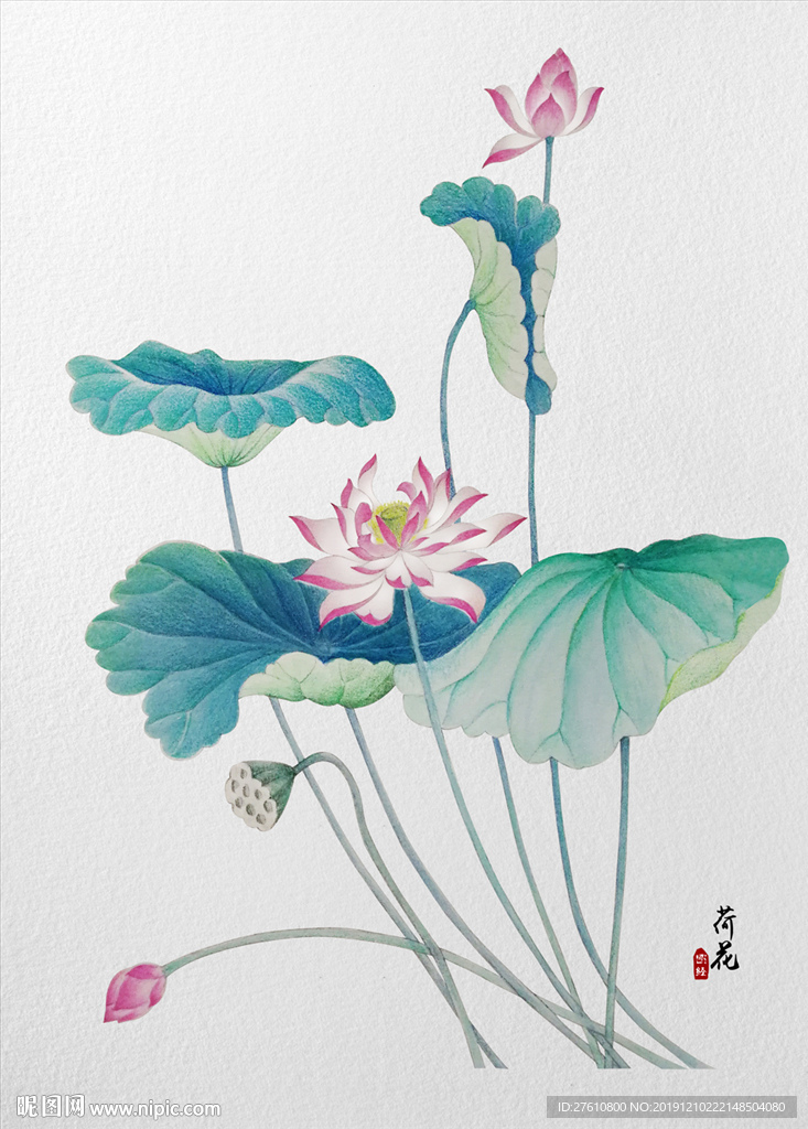 彩绘荷花