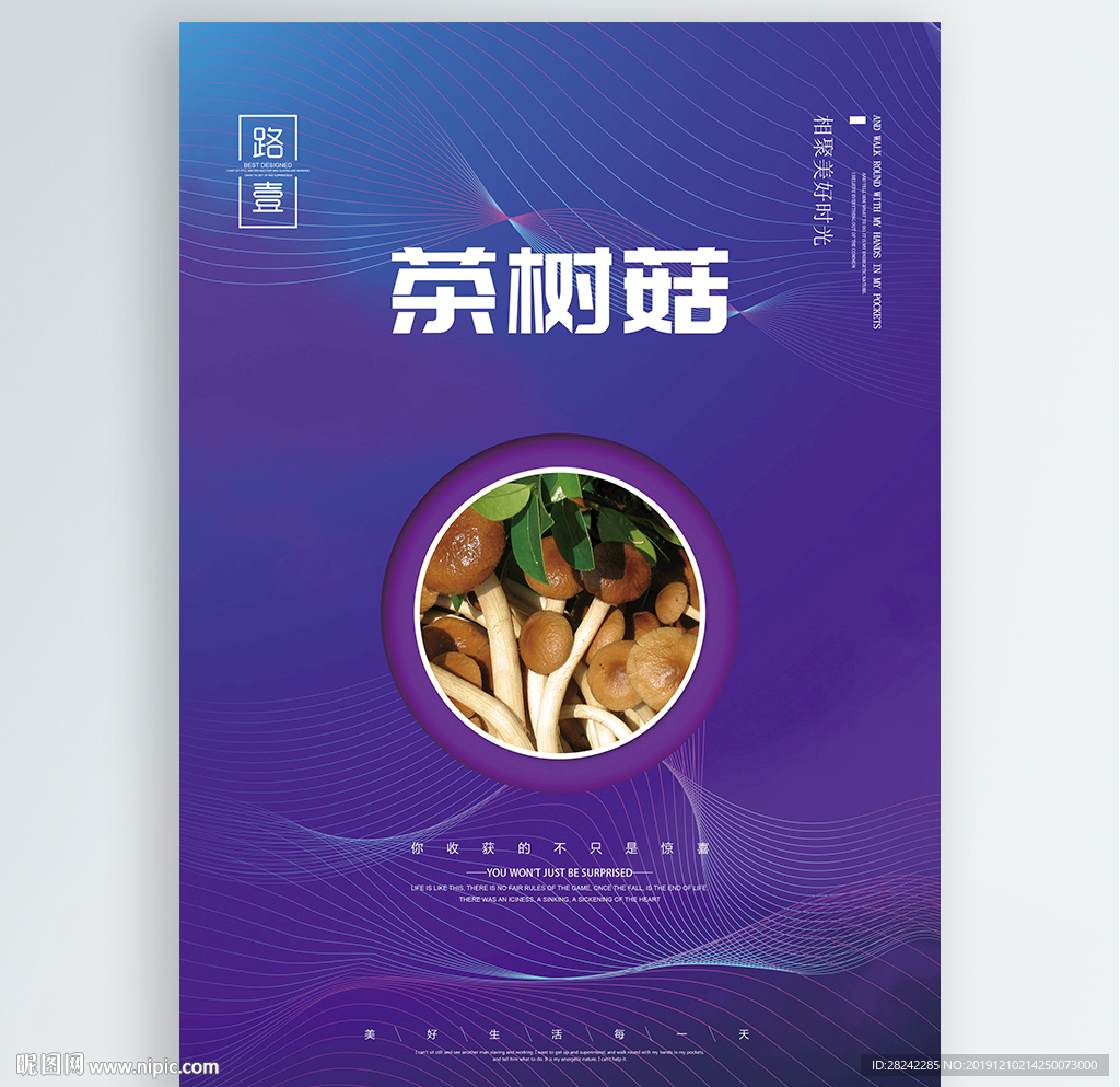茶树菇