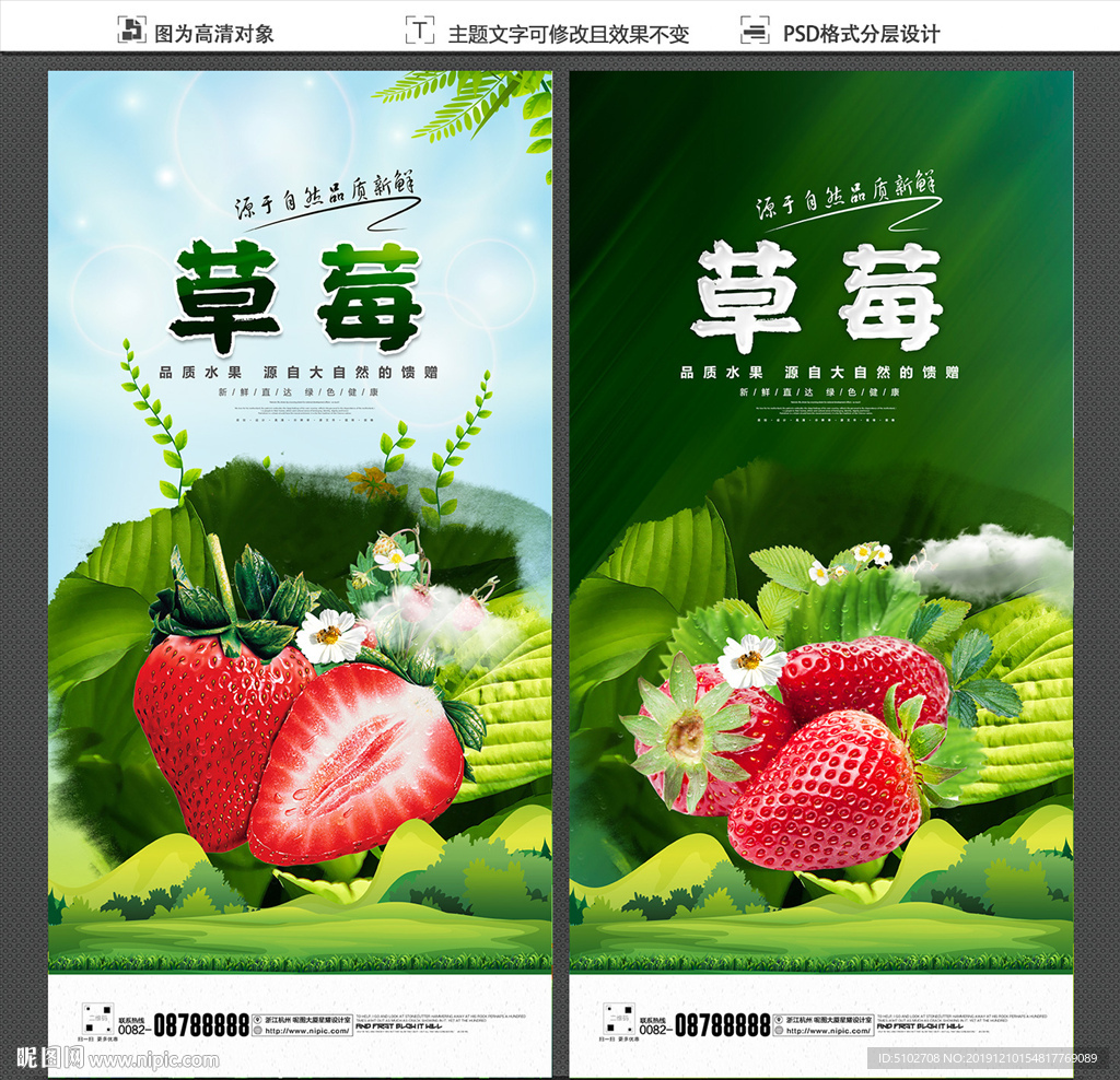 草莓采摘