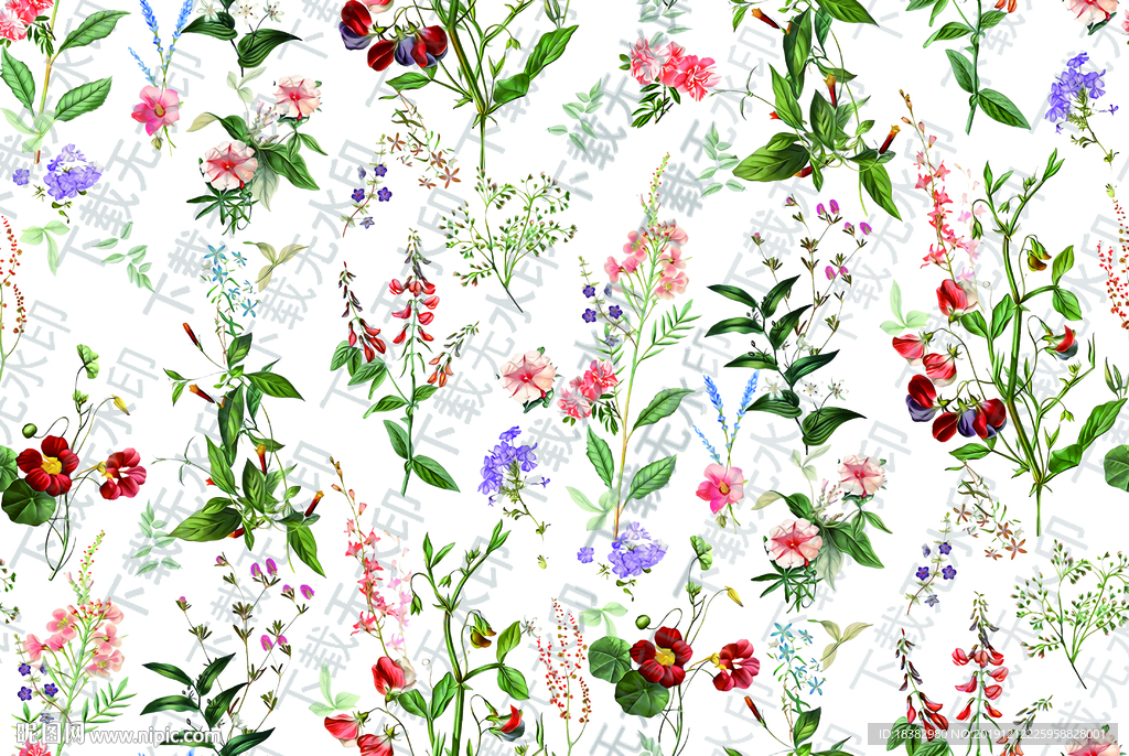 高清花