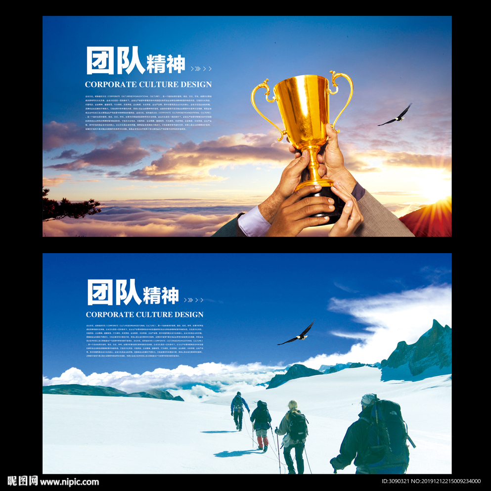 公司团队