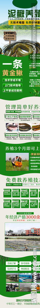 泥鳅养殖招商加盟详情页面