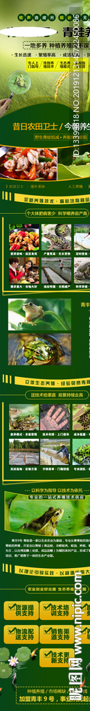 青蛙养殖 招商加盟详情页面