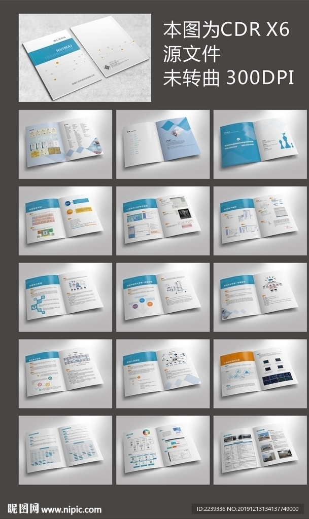 软件公司画册设计