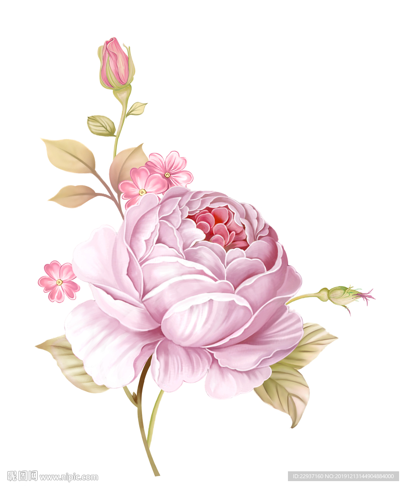 玫瑰花