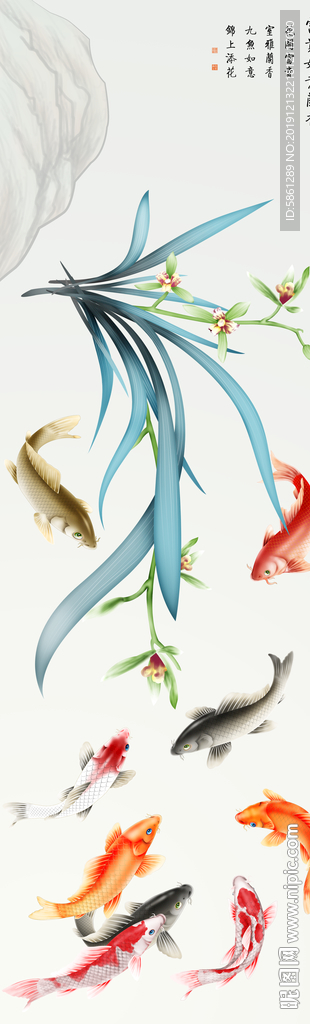 兰花鱼