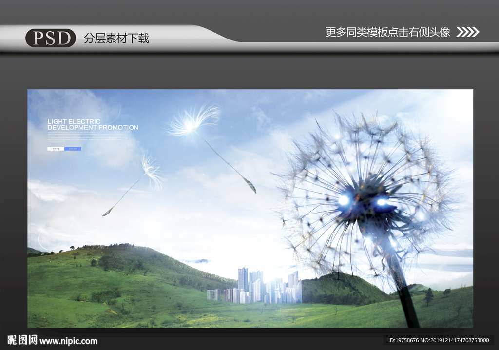 蒲公英