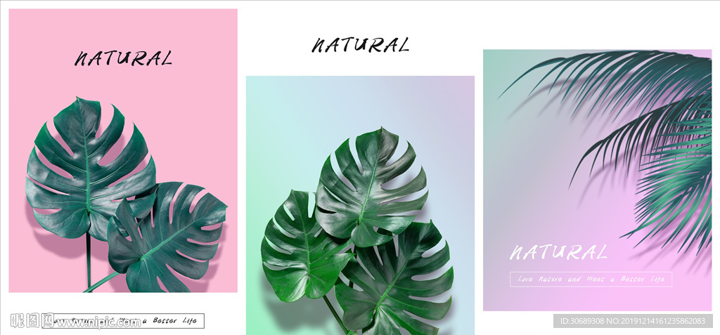 植物三联装饰画