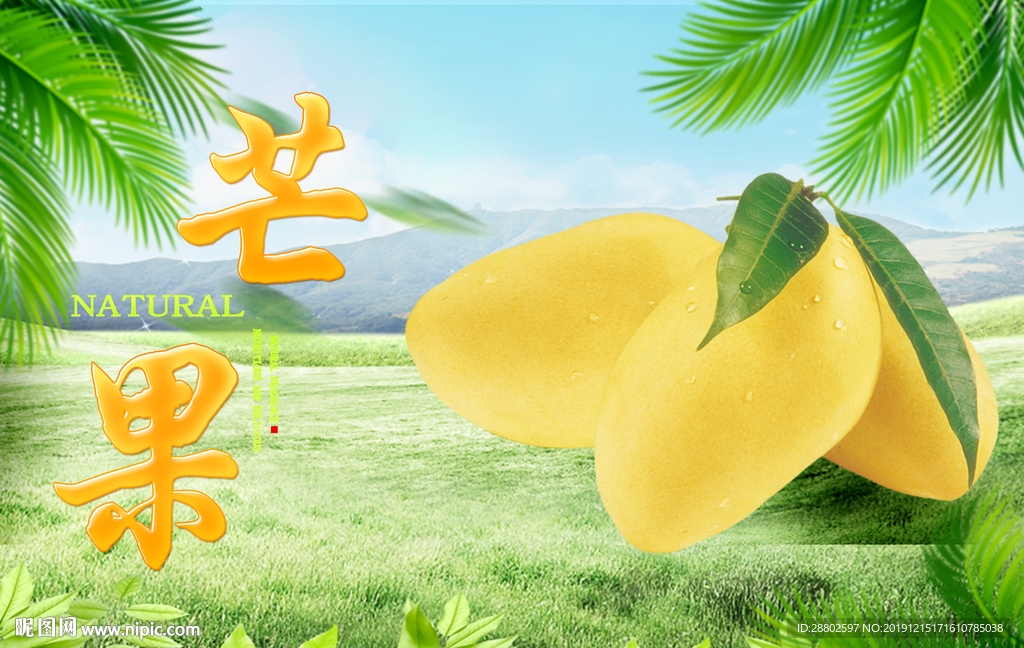 芒果