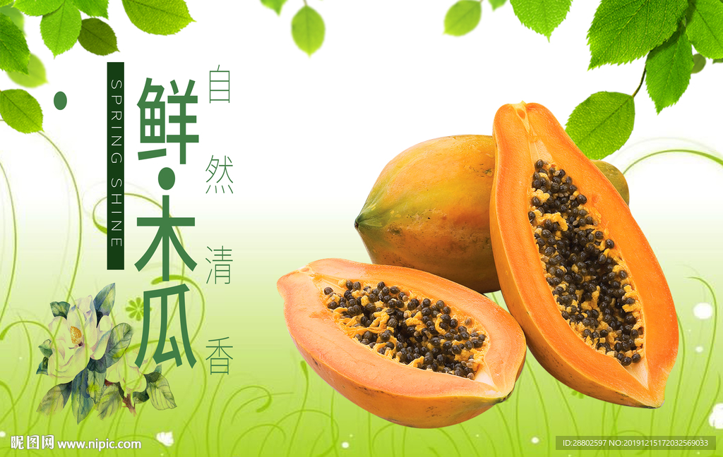 木瓜