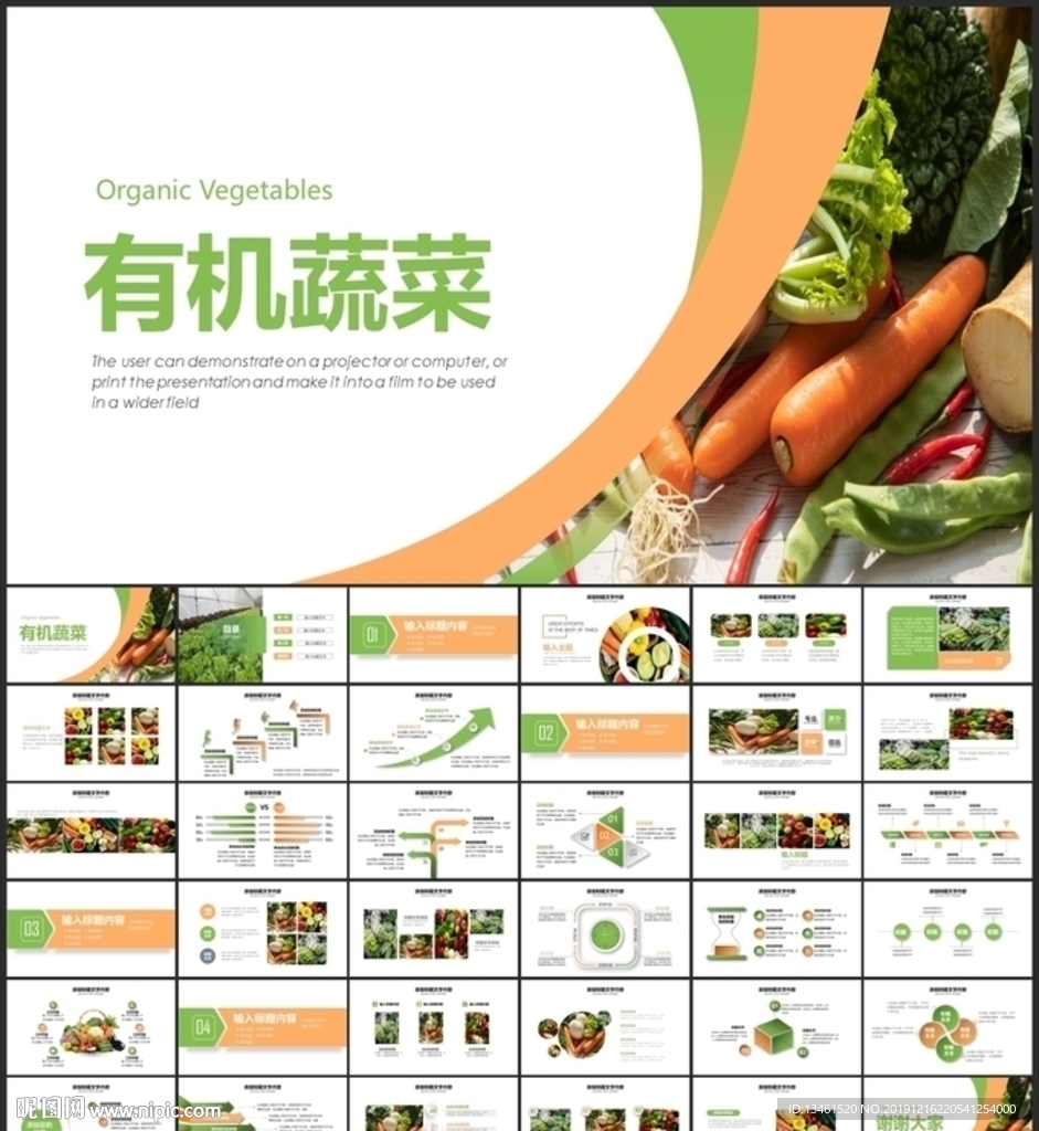 有机蔬菜PPT