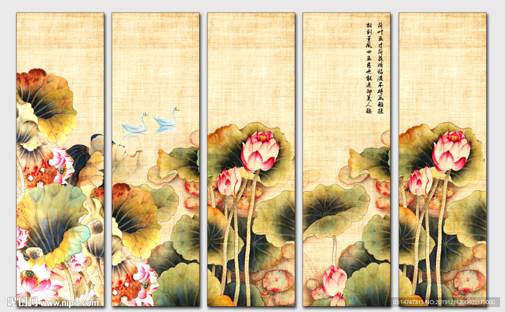 国画荷花