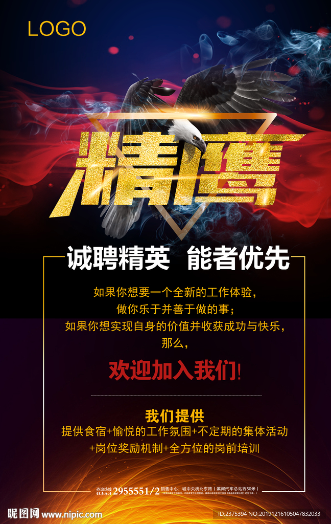 诚聘精英海报 精鹰