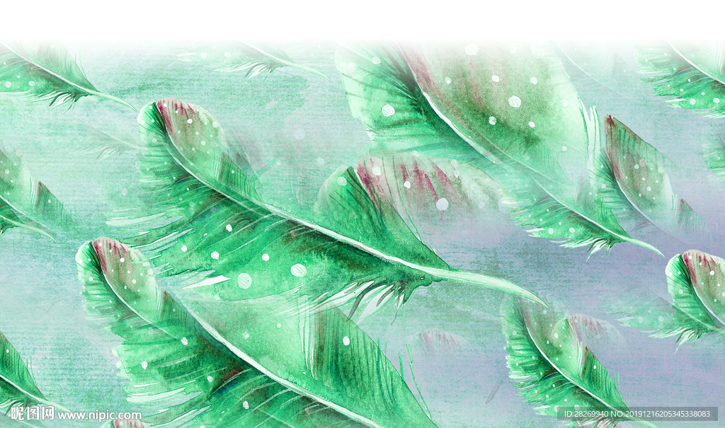 羽毛