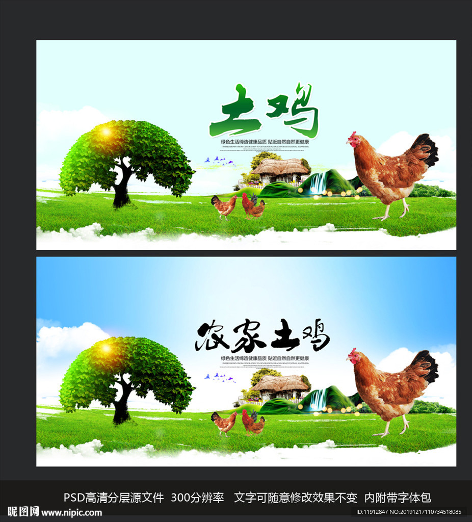 土鸡