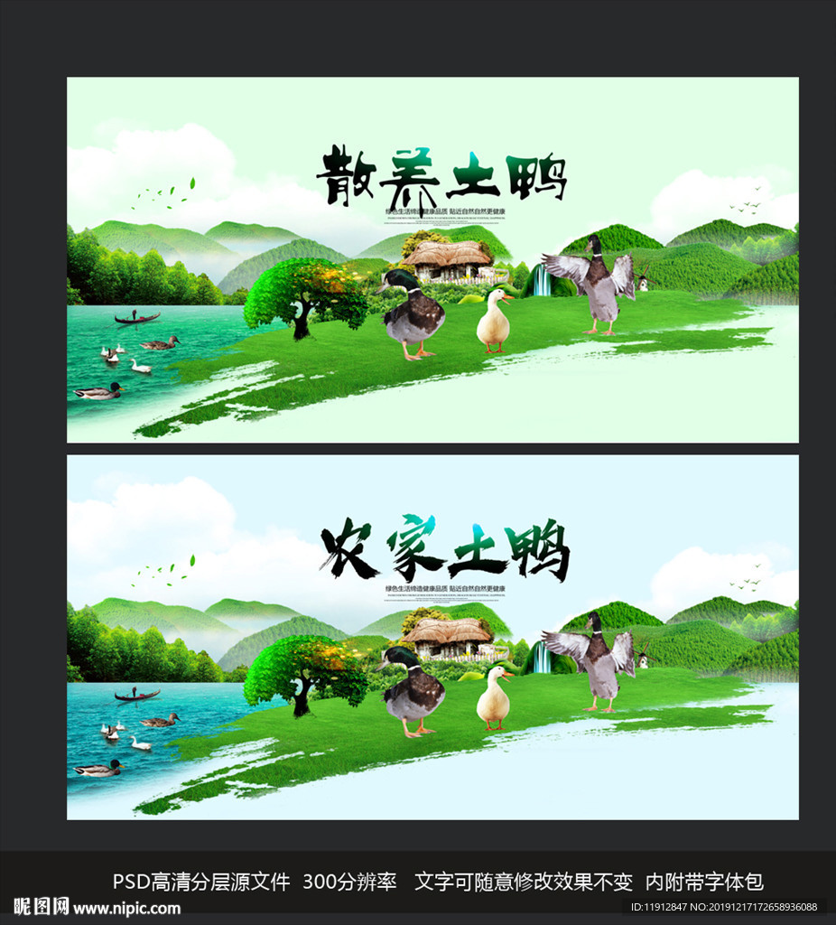 土鸭