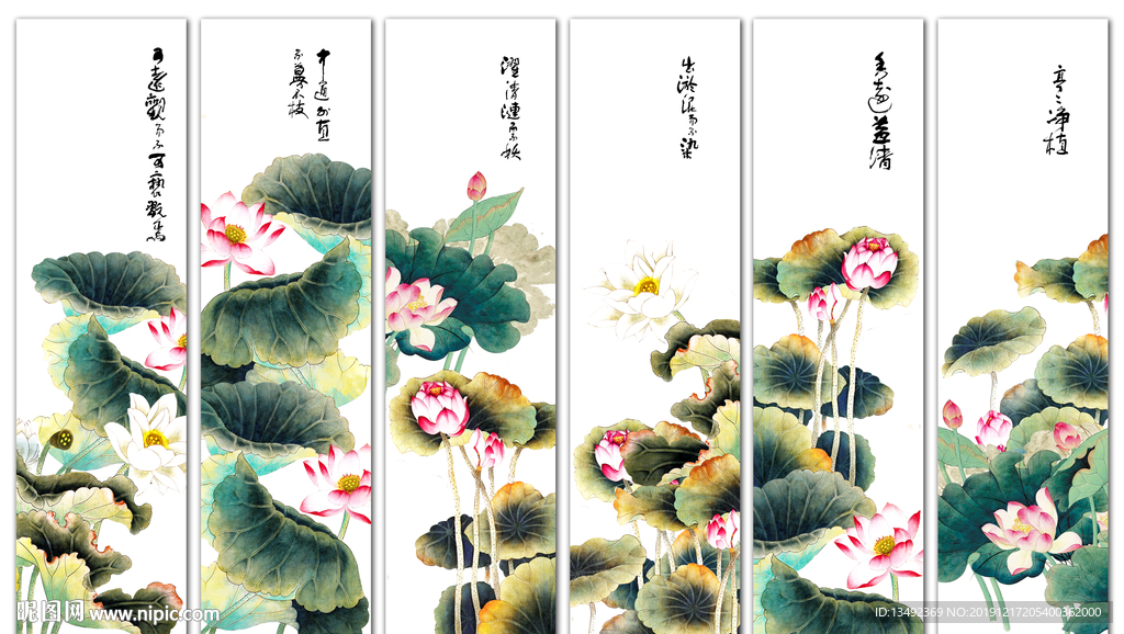 国画荷花