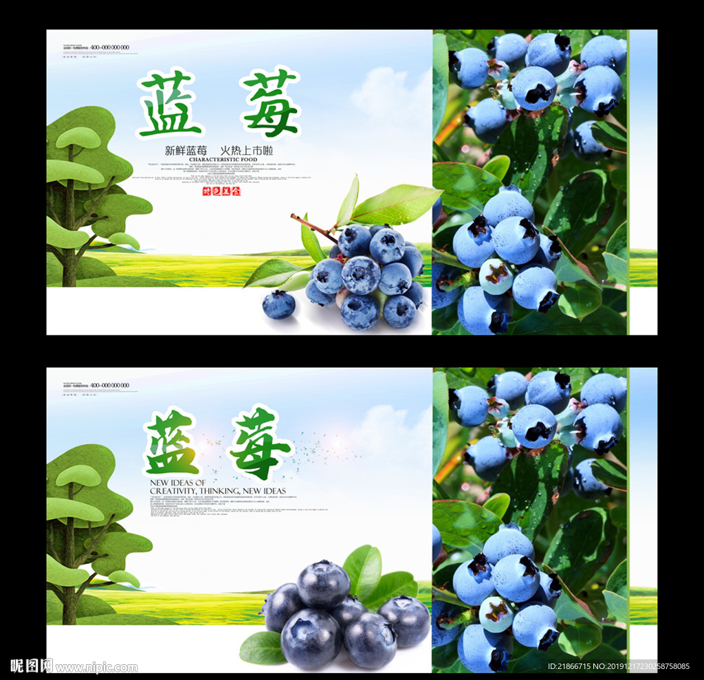 蓝莓