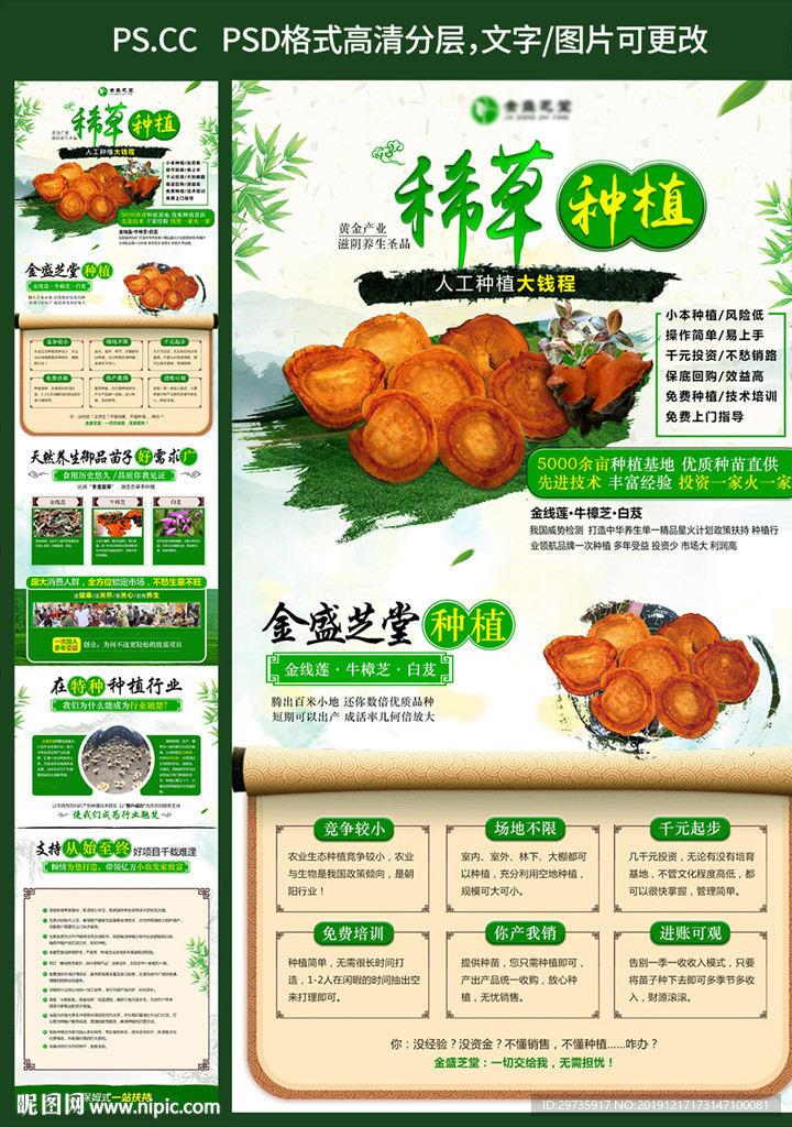 稀草种植招商加盟页面
