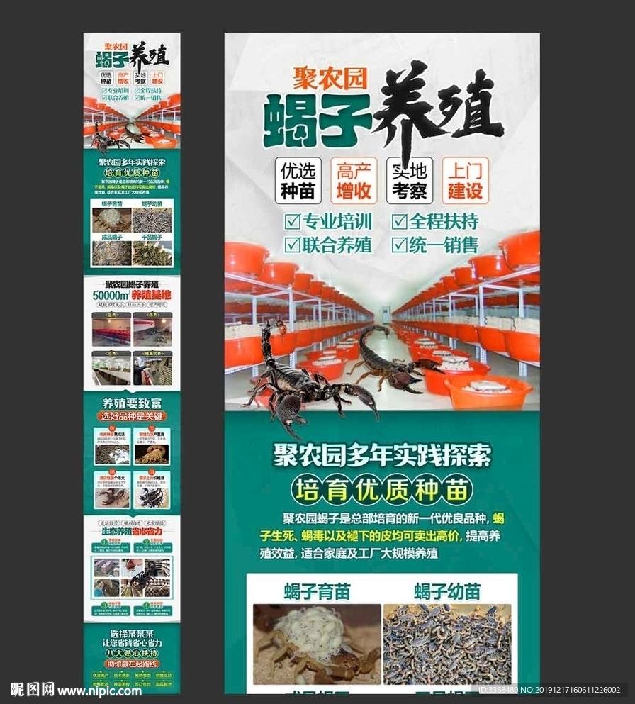 蝎子养殖
