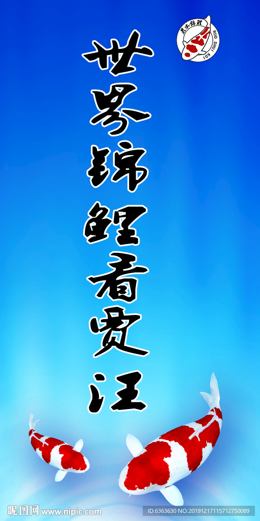 锦鲤