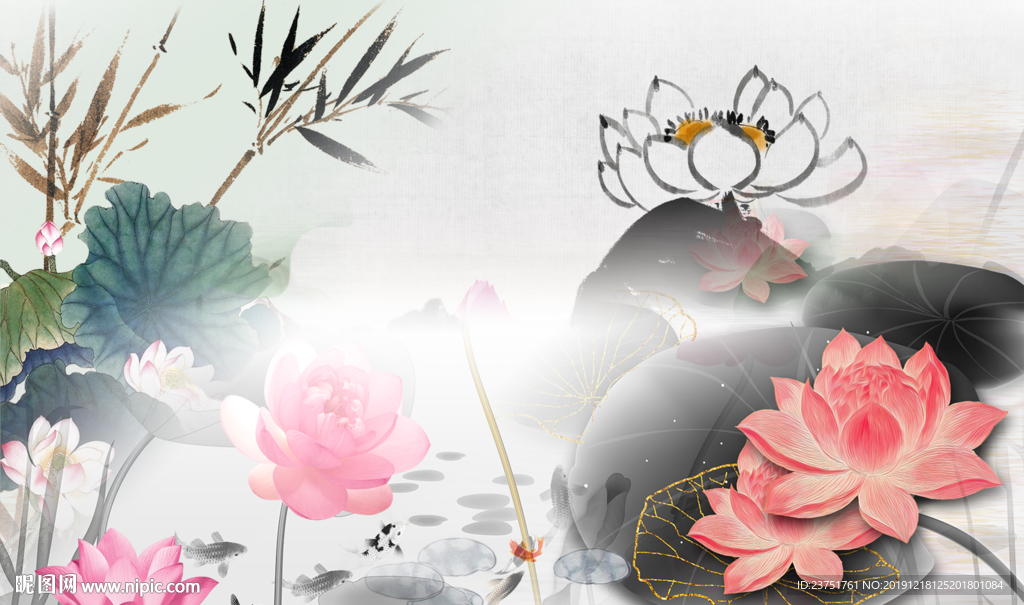 荷花