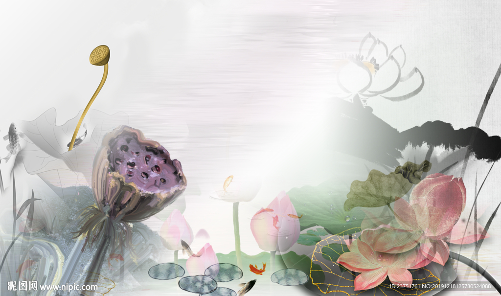 荷花