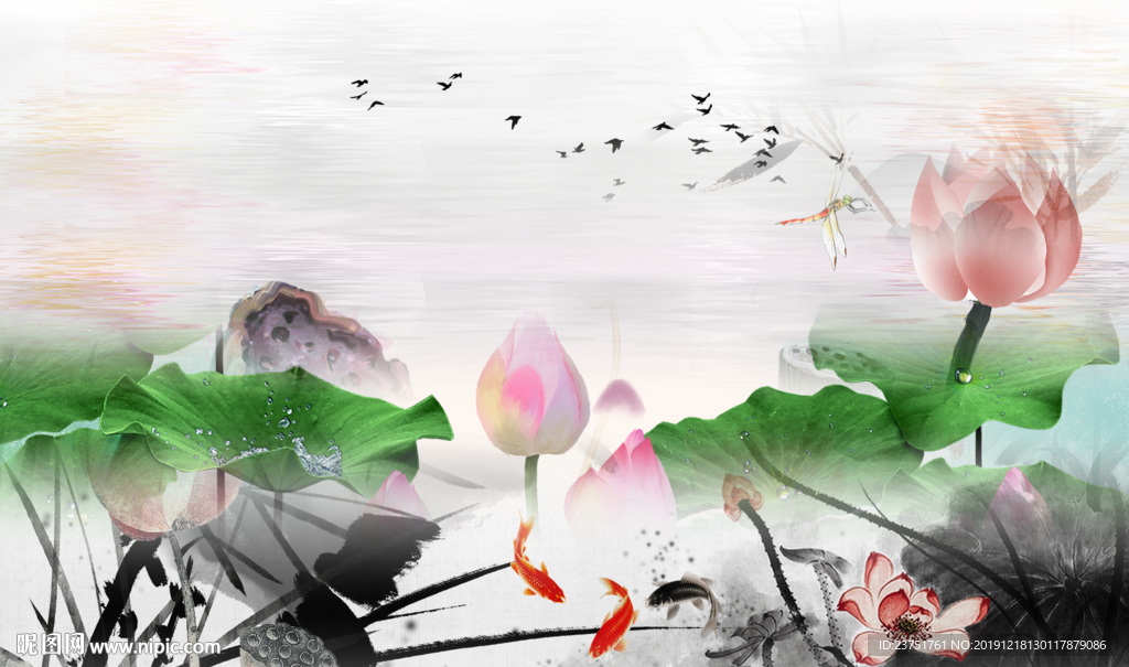 荷花