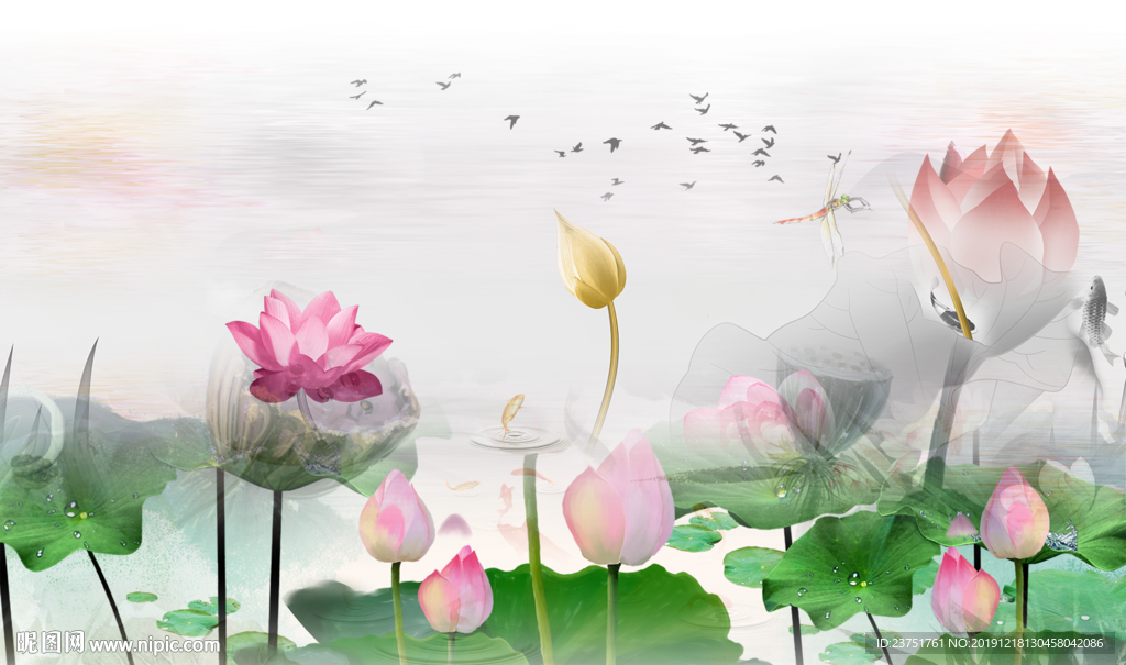 荷花