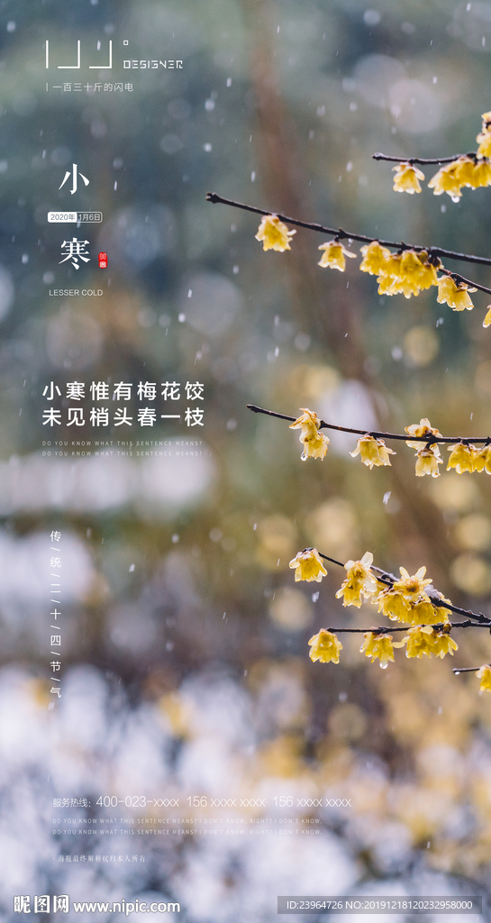 小寒节气海报