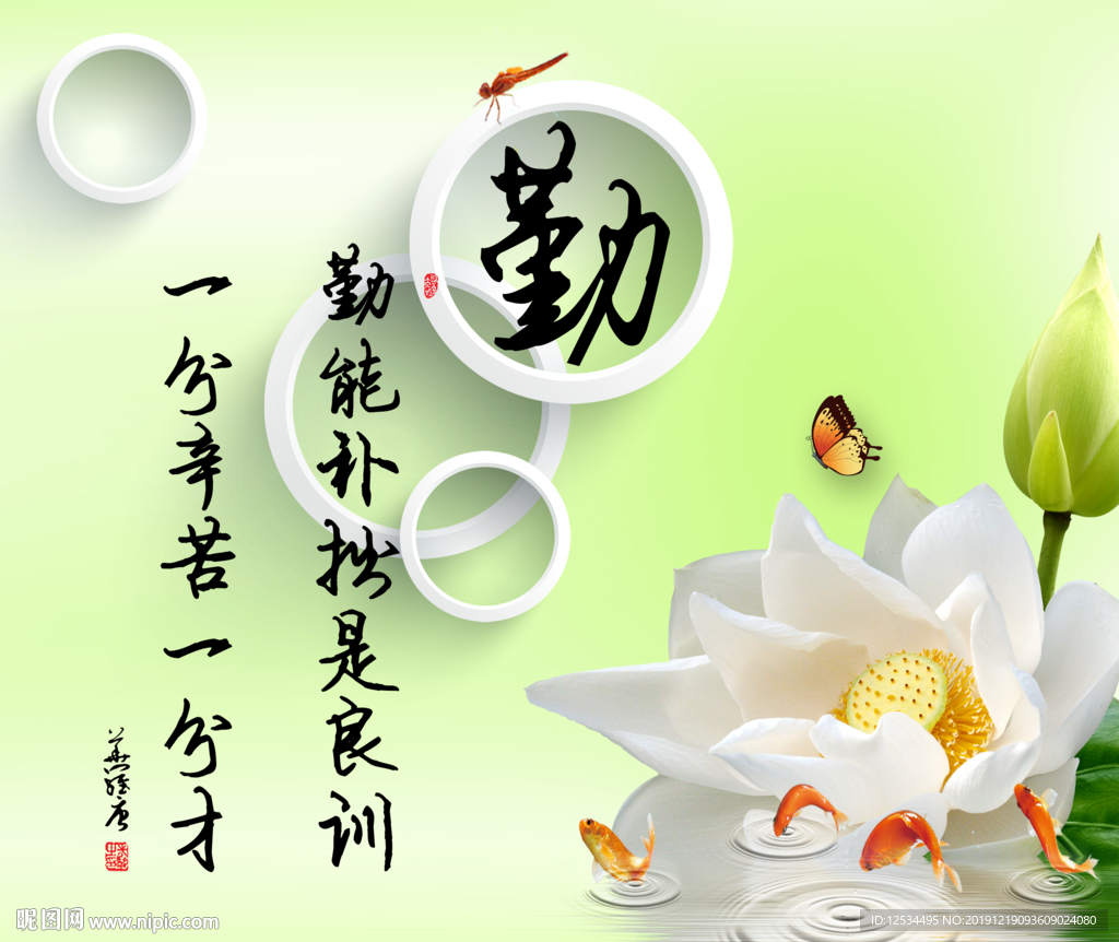 荷花