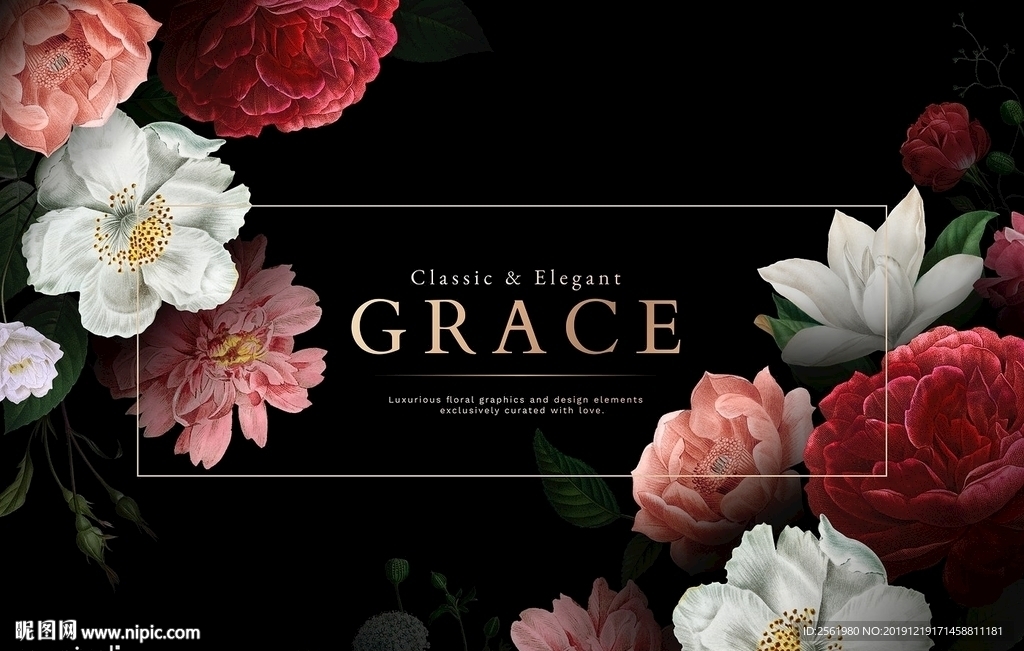 玫瑰鲜花边框装饰rose