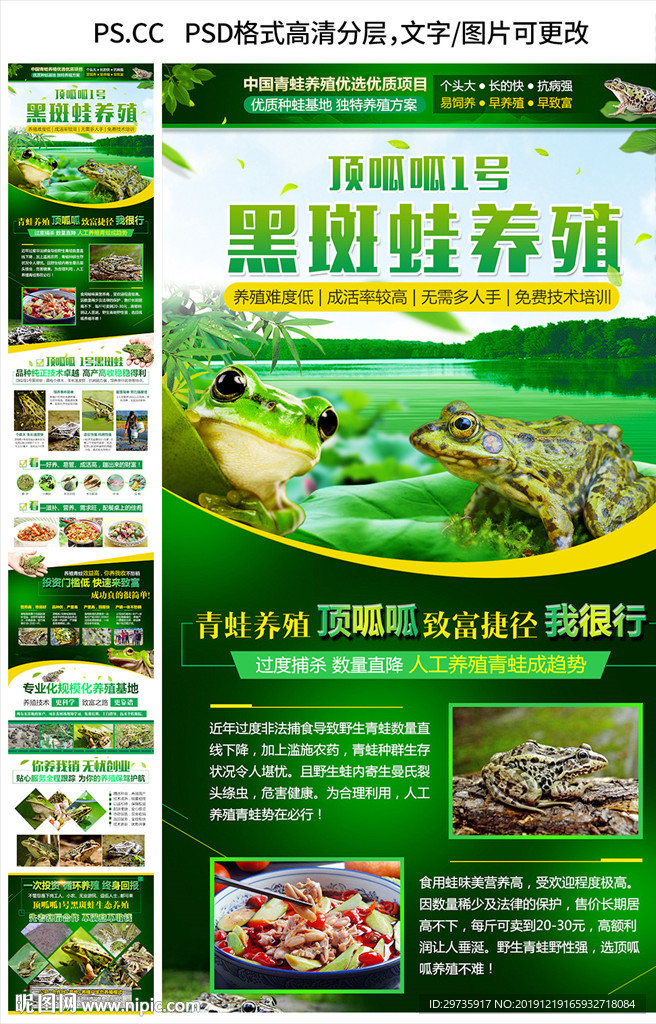 青蛙养殖招商海报